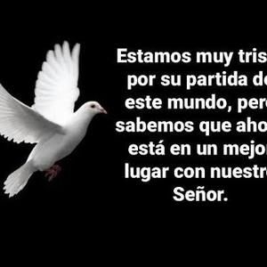 Meet your Posher, Rocio